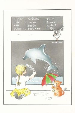 Kaart , Dolfijn