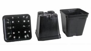 Vierkante potjes (p9 p10 of p11)  per 10 stuks
